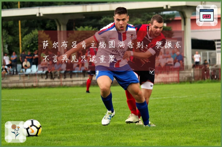 萨尔布吕肯主场圆满告别，樊振东不言再见只道重聚