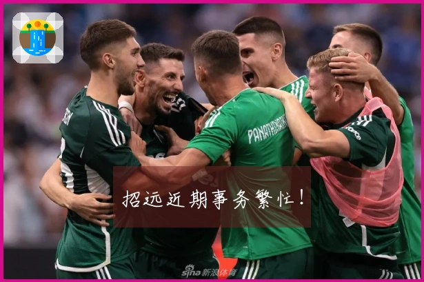 招远近期事务繁忙！