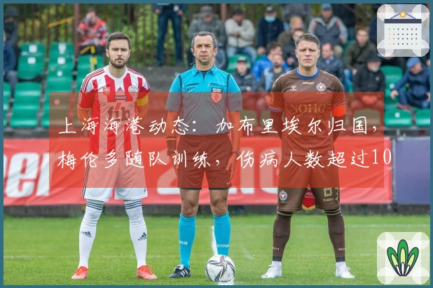 上海海港动态：加布里埃尔归国，梅伦多随队训练，伤病人数超过10人