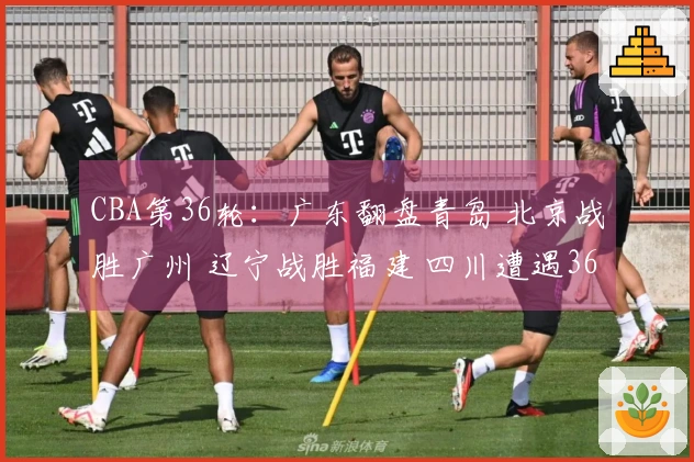 CBA第36轮：广东翻盘青岛 北京战胜广州 辽宁战胜福建 四川遭遇36连败