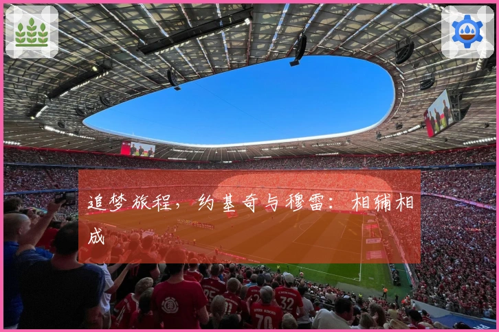 追梦旅程，约基奇与穆雷：相辅相成